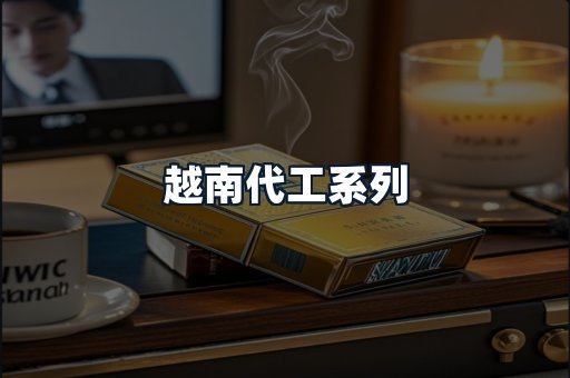 越南代工系列